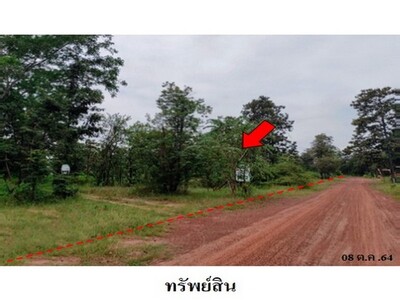 ขายที่ดินว่างเปล่า ต.โคกสูง อ.เมืองชัยภูมิ จ.ชัยภูมิ