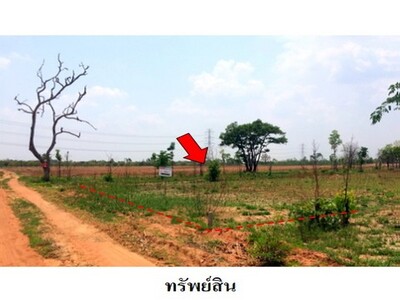 ขายที่ดินว่างเปล่า ต.ชีลอง อ.เมืองชัยภูมิ จังหวัด ชัยภูมิ