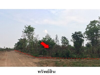 ขายที่ดินว่างเปล่า ถ.สายบ้านโป่งคองเหนือ-บ้านเขว้า จ.ชัยภูมิ 