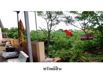 ขายที่ดินว่างเปล่า ถ.สายชัยภูมิ-ตาดโตน ต.รอบเมือง อ.เมือง จ.ชัยภู