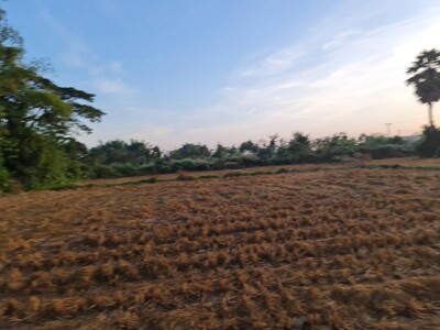 รวมบ้านที่ดินดีงามเพื่อคุณ  ขายที่ติดน้ำโขง ต.กุดบง โพนพิสัย หนอง