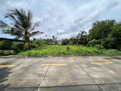 ขายที่ดินเปล่า ซอยนนทบุรี 42 เนื้อที่ 203 ตารางวา