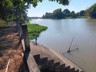 ขายที่ดินริมแม่น้ำท่าจีน 364 ตร.ว. ติดถนน 340  จ.สุพรรณบุรี