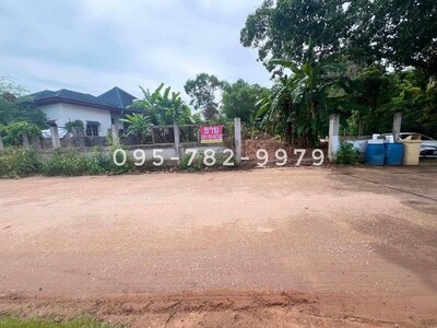 ขายที่ดิน EEC ถ. 3145 อ.แกลง จ.ระยอง 