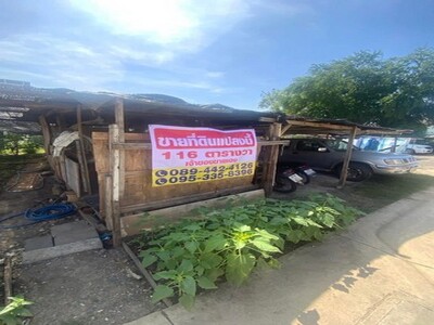 ขายที่ดิน 116 ตารางวา  อ.บางอินปะอิน จ.อยุธยา