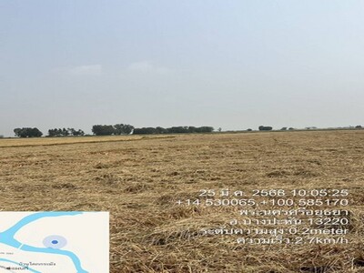 ขายที่ดิน อำเภอบางปะหัน จังหวัดพระนครศรีอยุธยา