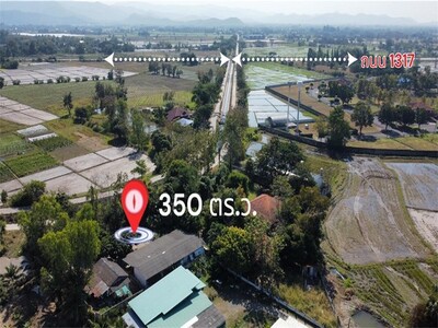 ขายที่ดินพร้อมสิ่งปลูกสร้างติดถนน วิวทุ่งนาใกล้ถนน1317สันกำแพง