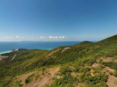 ขายที่ดินเกาะล้าน บางละมุง ชลบุรี แปลงสวย ทำเลดีมาก