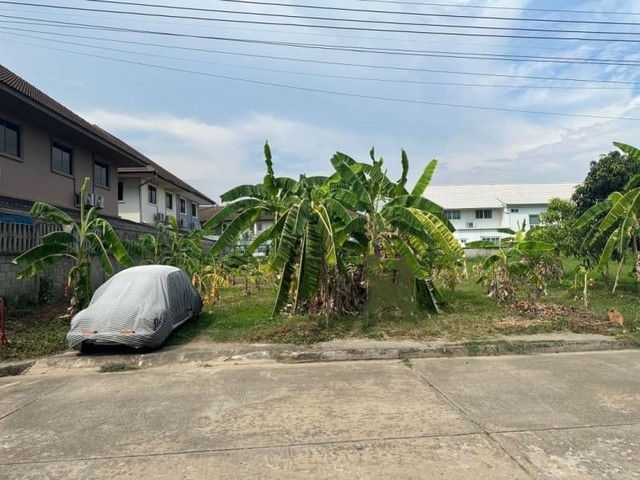 ขายที่ดิน หนองควาย หางดง  ตรว.ละ 33,000 บาท        