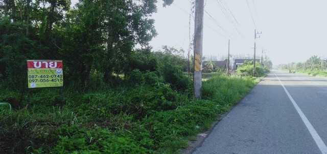 ขายที่ดิน 6-1-0 ไร่ ใกล้สถานีตำรวจภูธร ขุนทะเล อ.เมือง จ.สุราษฎร์ธานี   ZST116