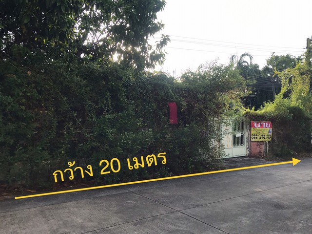 ขายที่ดินสวยทำเลดี เนื้อที่ 124 ตารางวา หมู่บ้านเสรี ถ.พระราม 9 ,รามคำแหง 24   ZJ031 