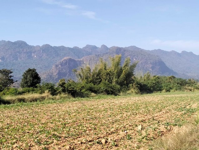 ขายที่ดินติดแม่น้ำเมืองกาญจนบุรี  ใกล้แหล่งท่องเที่ยว