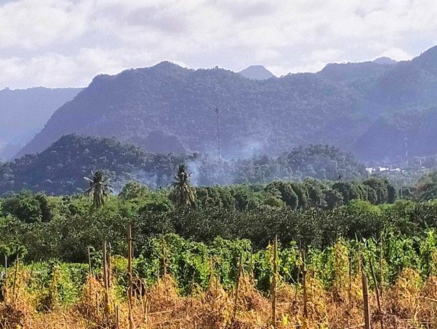 ขายที่ดินพื้นงามเป็นโฉนดทั้งหมดติดแม่น้ำ  อำเภอไทรโยค กาญจนบุรี 