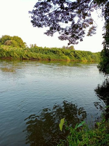 ขายที่ดินทำเลทองอยู่ในตัวเมือง เหมาะสำหรับร้างธุระกิจ กาญจนบุรี