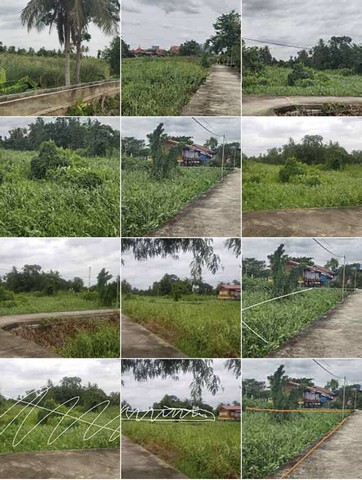 ขายด่วนที่ดิน เกาะเกร็ด ขนาดเนื้อที่ 2 ไร่ 1 งาน  ตำบลเกาะเกร็ด อำเภอปากเกร็ด จังหวัดนนทบุรี