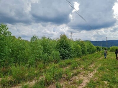 ขายที่ดินบ้านบึง ชลบุรี 