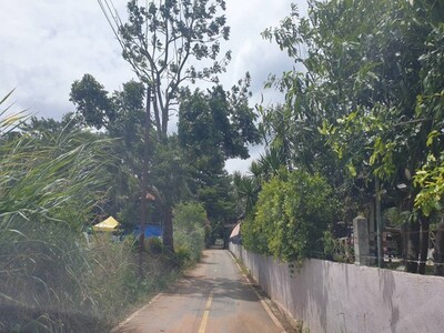 ที่ดินพร้อมบ้านพักอาศัย 7 ไร่  เขาใหญ่ ร่มรื่นเป็นส่วนตัว