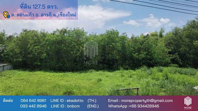 พื้นที่ดิน -ใกล้การไฟฟ้าส่วนภูมิภาคดอนแก้ว  ใหญ่ 28 SQ.WA 1 Ngan 0 RAI  1690000 - ใกล้ -ใกล้การไฟฟ้าส่วนภูมิภาคดอนแก้ว  ราคาคุ้มสุด เชียงใหม่   