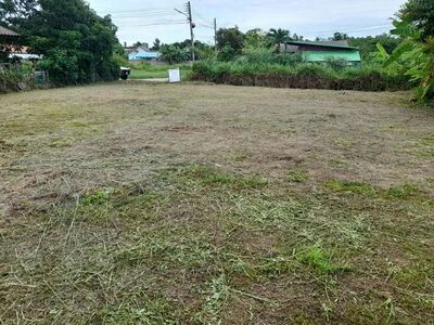 โซนสันทราย ขาย 2.9 ล้าน ที่ดินเปล่า 133 ตรว. เหมาะสำหรับทำบ้านเดี