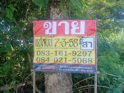 ขายที่ดินราคาถูก 7-3-58 ไร่   บ้านเนินมะครึด  เมืองพิษณุโลก  