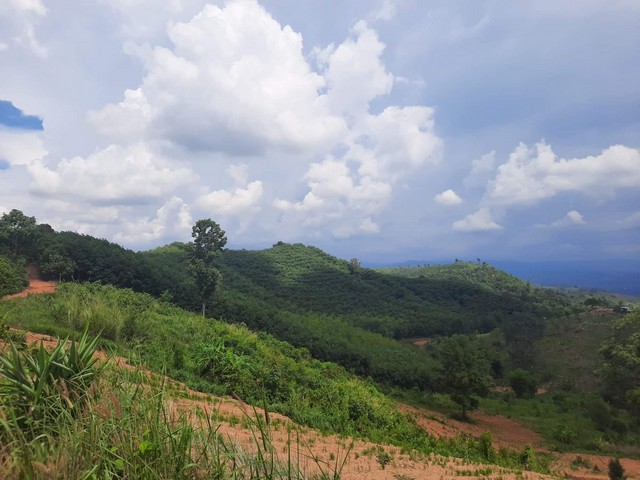 ขายที่ดิน วิวภูเขา ต.ศิลา อ.หล่มเก่า จ.เพชรบูรณ์ จำนวน 23ไร่ 2งาน 5 ตรว 