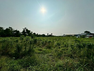 ขายที่ดินห้วยกะปิ เมืองชลบุรี แปลงสวย ทำเลดี ใกล้แหล่งชุมชน