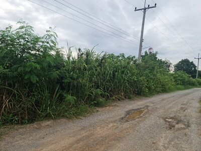 ที่ดินวิวสวยทำเลเหมาะ ขายที่ปากช่อง 2-8ไร่โฉนด ต.วังไทร ไร่ละ 2.9