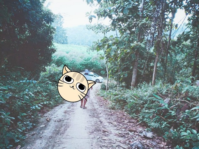 กรรมสิทธิ์ที่ดินพร้อมขายเพื่อคุณเป็นเจ้าของ  ขาย ที่สวยวิวล้าน 800000บาท 3-0-35ไร่ อำเภอสันติสุข น่าน