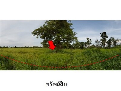 ขายที่ดินว่างเปล่า ถ.สายชัยภูมิ-หนองบัวแดง ต.รอบเมือง จ.ชัยภูมิ