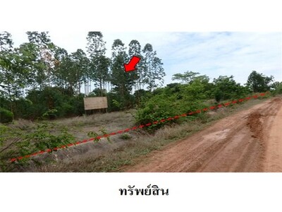 ขายที่ดินว่างเปล่า ถ.สายบ้านยางบ่า-โคกสูง ต.โคกสูง อ.เมือง จ.ชัยภ