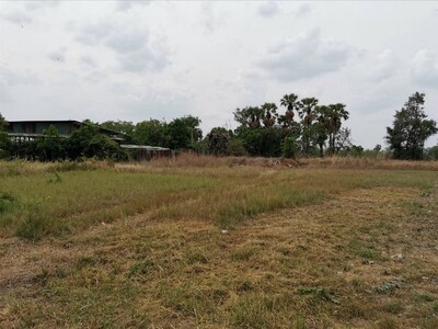 ให้เช่าที่ดินนาป่าชลบุรี ให้เช่าเหมาที่ดินใกล้มอเตอร์เวย์ 2 ไร่ 