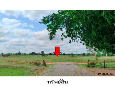 ขายที่ดินว่างเปล่า ต.รอบเมือง อำเภอ เมืองชัยภูมิ