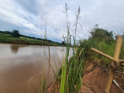 รวมที่ดินดีงามเพื่อคุณ  ขายที่ติดแม่น้ำน่าน ต.โคกหม้อ ชุมแสง.นครส