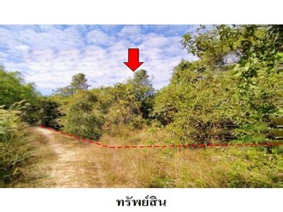 ขายที่ดินว่างเปล่า ชุมชนบ้านนิคม ต.นิเวศน์ อ.ธวัชบุรี จ.ร้อยเอ็ด
