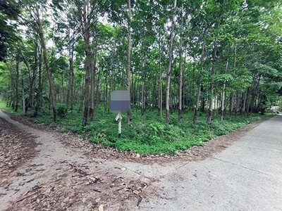 ขายที่ดินว่างเปล่า  ถนนสายเกาะปอ  อำเภอเกาะลันตา กระบี่