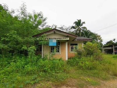 ขายบ้านเดี่ยว  ถนนเหนือคลอง-ชัยบุรี  อำเภอเขาพนม  กระบี่
