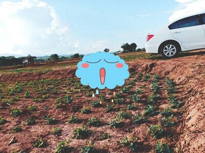 ฝากไว้ให้พิจารณานะคะ ขายที่ติดแม่น้ำน่าน อ.ท่าวังผา น่าน 09688218