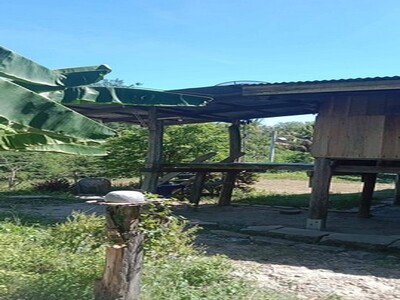 ฝากไว้ให้พิจารณานะคะ ขายบ้าน262วา ต.โพทะเล อ.ค่ายบางระจัน.สิงห์บุ