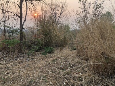 สรรหาทรัพย์ดีเพื่อคนไทย ที่บนเนินเขา สูงจากน้ำทะเล หล่มเก่า เพชรบ