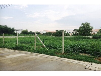 ขาย ที่ดินเปล่า แยก บางสีทอง ขนาด 317 ตารางวา