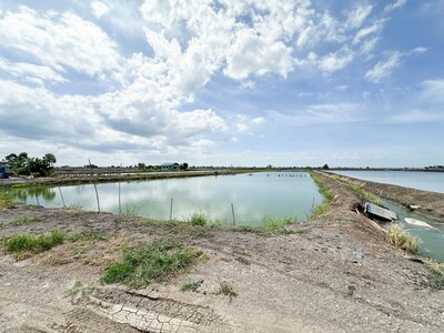  ขายที่ดินเปล่า สุพรรณบุรี  6 ไร่ 3 งาน 72 ตร.ว ติดถนนสาธารณะประโ