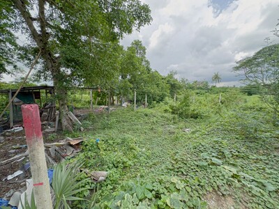 ที่ดินปากเกร็ด  85 ตร.วา ทำเลดี ราคาต่ำกว่าตลาด ปากเกร็ด นนทบุรี