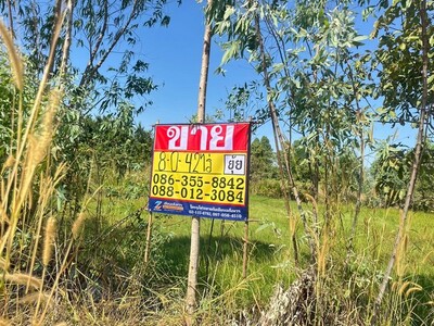 ขายที่ดิน 8-0-42 ไร่ ใกล้สวนพระพิฆเนศ  ตะเคียนเตี้ย  บางละมุง  ชล