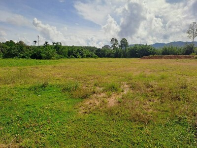 ขายที่ดินถมแล้ว อำเภอพะโต๊ะ จังหวัดชุมพร เนื้อที่ 13 ไร่