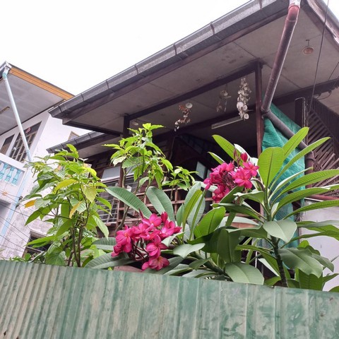 ขายบ้านครึ่งปูนครึ่งไม้ ซ.ตากสิน 33 และ 33/1 หรือ เจริญนคร 64 และ 62 ใกล้เดอะมอร์ท่าพระ