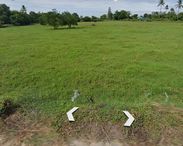ที่ดินเปล่า  เนื้อที่  23-1-87 ไร่  ต.บ้านสระ อ.สามชุก จ. สุพรรณบุรี