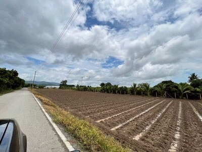 ขายที่ดิน วิวภูเขา ติดถนนชุมชน แม่แฝกใหม่ สันทราย  