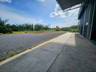 ายที่ดินโกดังผังสีม่วงศรีราชาชลบุรี  2-2-51ไร่