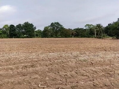 ที่ดินเปล่าแปลงสวย ราคาพิเศษ ใกล้แหล่งท่องเที่ยวฟาร์มแกะพัทยา