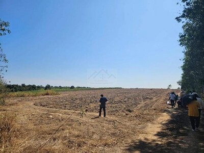 ขายที่ดินแปลงใหญ่ ถนนสาย304  จังหวัดฉะเชิงเทรา 